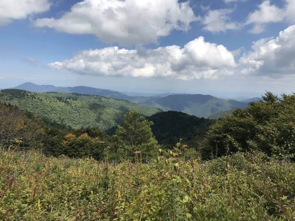 view of mountain tops near asheville north carolina scaled.jpeg